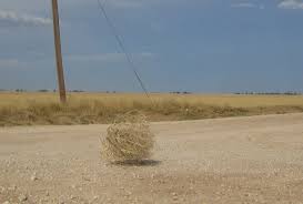 tumbleweed